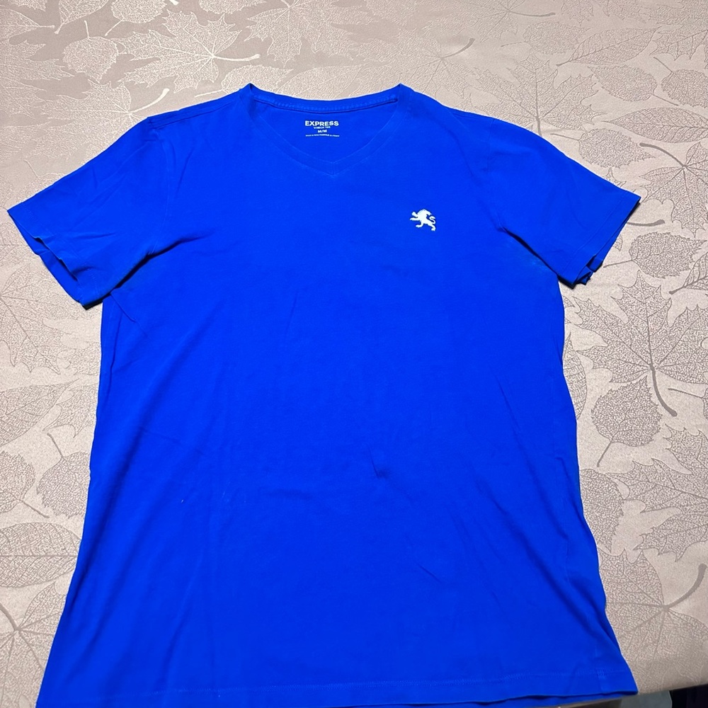 Express Tshirt Mens Medium